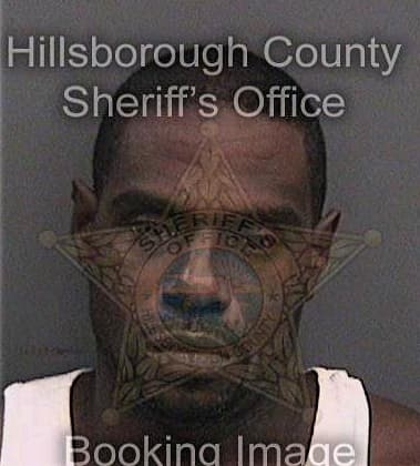 Damond Alford, - Hillsborough County, FL 