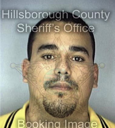 Joseph Dibello, - Hillsborough County, FL 