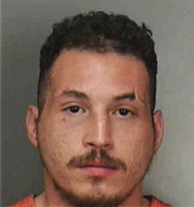 Gerardo Hernandez-Geron, - Polk County, FL 