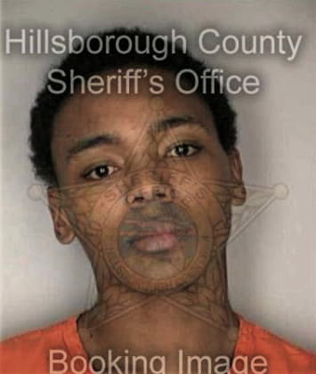 Ellis Mitchell - Hillsborough County, FL 