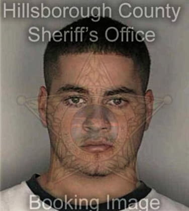 Amaury Almonte, - Hillsborough County, FL 