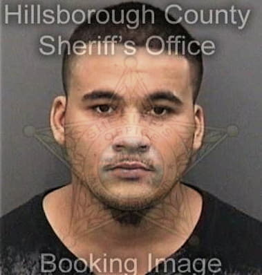 Christopher Broussard, - Hillsborough County, FL 