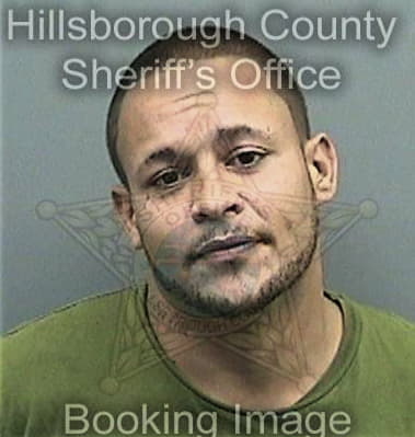 Michael Butler, - Hillsborough County, FL 