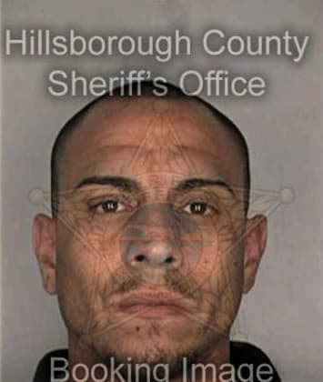 Edward Carmona, - Hillsborough County, FL 