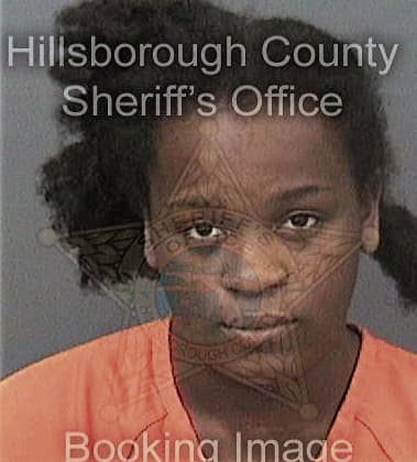 Lameka Lewis, - Hillsborough County, FL 