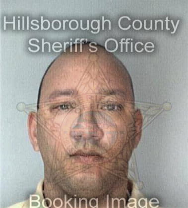 Donald McCullough - Hillsborough County, FL 
