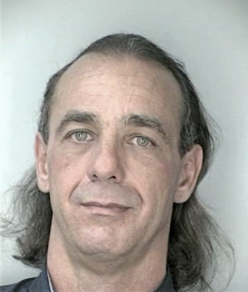 Jeffrey Mira - Hillsborough County, FL 