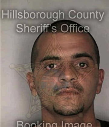 Enrique Pasosgarcia, - Hillsborough County, FL 