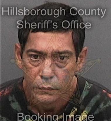 Dayron Tapanes, - Hillsborough County, FL 