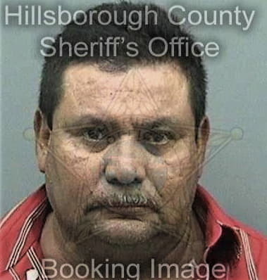 Jeffrey Wilks - Hillsborough County, FL 