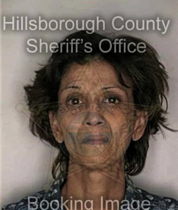 Linda Bice - Hillsborough County, FL 