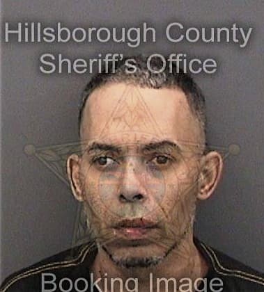 Xaviel Fernandez, - Hillsborough County, FL 