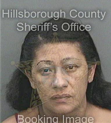 Tina Hussain, - Hillsborough County, FL 