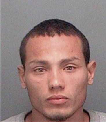 Francisco Joaquinamado, - Pinellas County, FL 