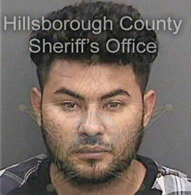 Marco Orellanahernandez, - Hillsborough County, FL 