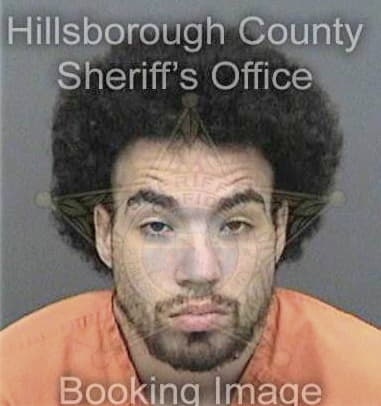 Juan Sanchez, - Hillsborough County, FL 