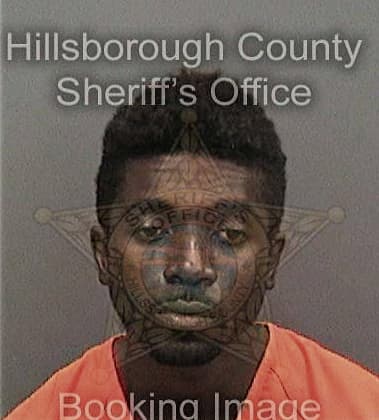 Larry Wilson, - Hillsborough County, FL 