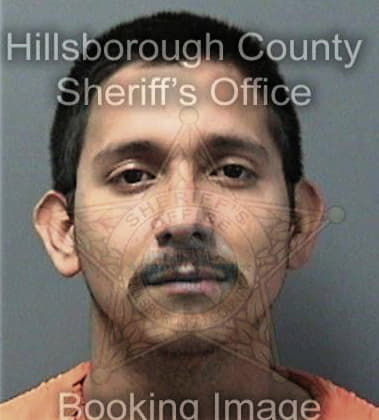 Nathaniel Wilson, - Hillsborough County, FL 