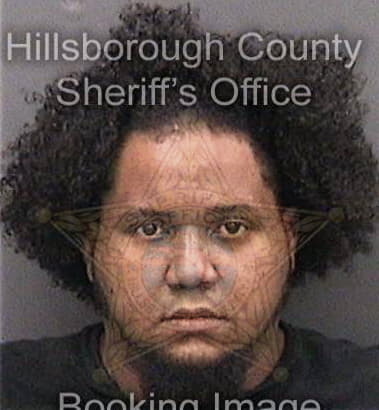 David Alderman, - Hillsborough County, FL 