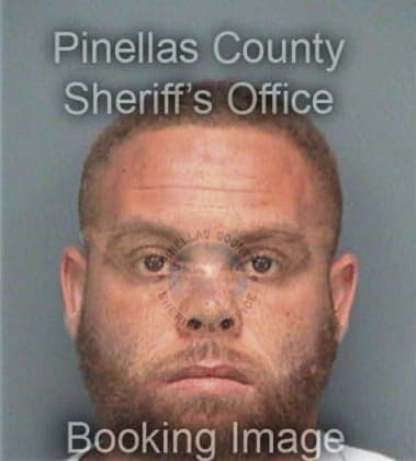 Abdullah Alsayyar, - Pinellas County, FL 