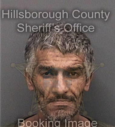 Brian Collins - Hillsborough County, FL 