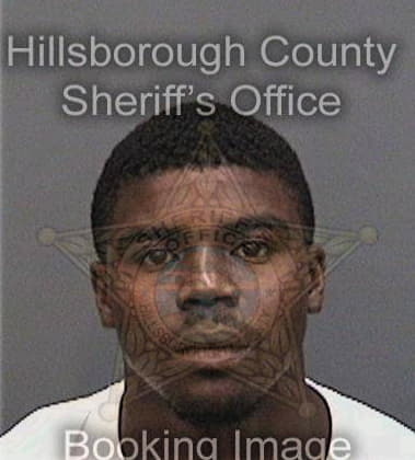 Kenneth George, - Hillsborough County, FL 