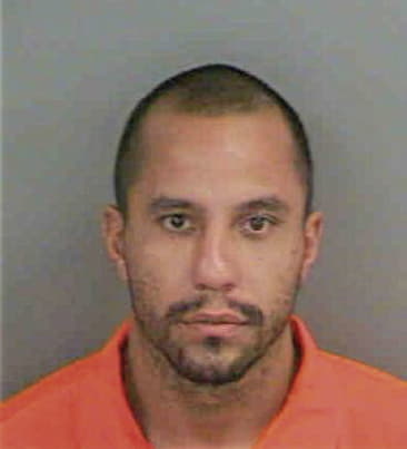 Ricardo Hernandez, - Collier County, FL 