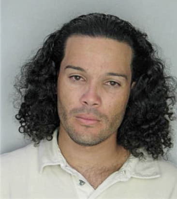 Jason McDaniel - Hillsborough County, FL 