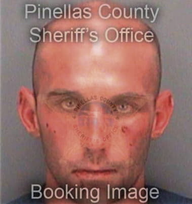 Victor Pineiro, - Pinellas County, FL 