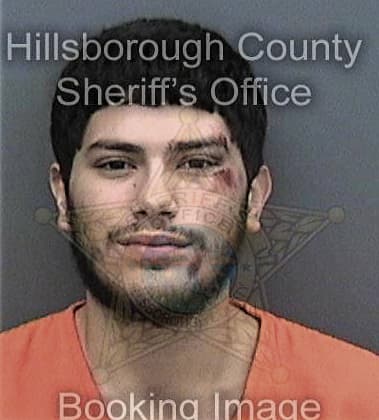 Omar Ramirez, - Hillsborough County, FL 