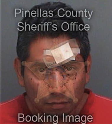 Rainier Alvarez, - Pinellas County, FL 