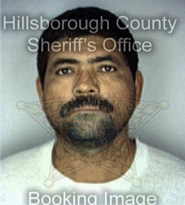 Silverio Badillo, - Hillsborough County, FL 