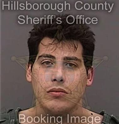 Adam Goldstone, - Hillsborough County, FL 