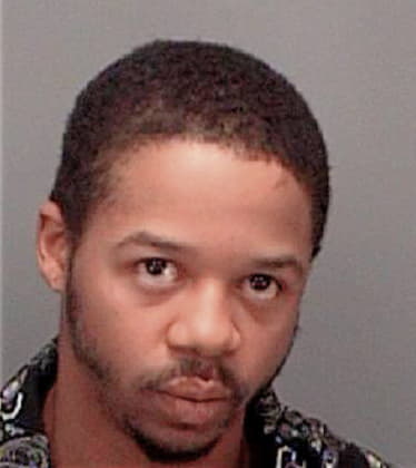 Nicholas Ingram, - Pinellas County, FL 