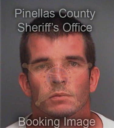 Leonardo Irias, - Pinellas County, FL 