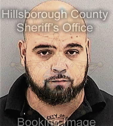 Michael Lugo, - Hillsborough County, FL 