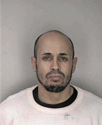 Daniel Minchen - Hillsborough County, FL 