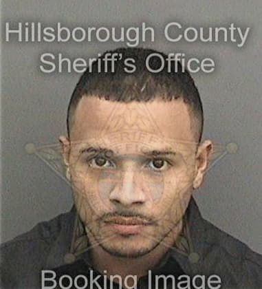 Mark Robert - Hillsborough County, FL 