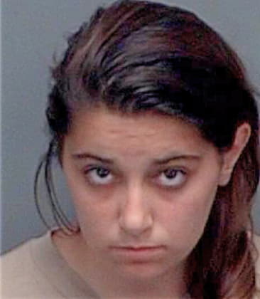 Lisa Sparkman - Pinellas County, FL 