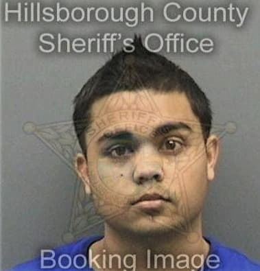 Robinson Valencia, - Hillsborough County, FL 