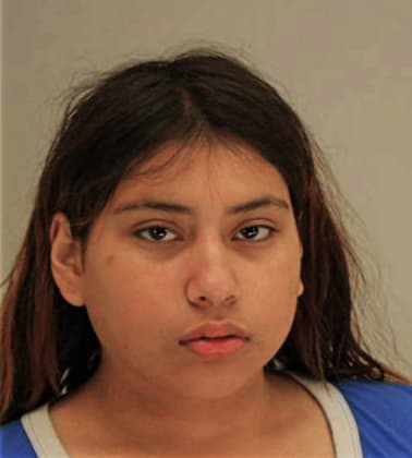 Selena Villatoro - Dallas County, TX 