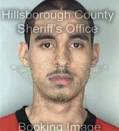 Dennis Joslyn, - Hillsborough County, FL 