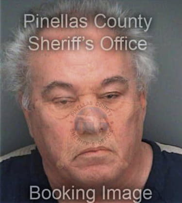 Nicholas Pero, - Pinellas County, FL 