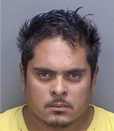 Victor Rodriguezcortes, - Pinellas County, FL 