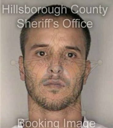 Donald White - Hillsborough County, FL 