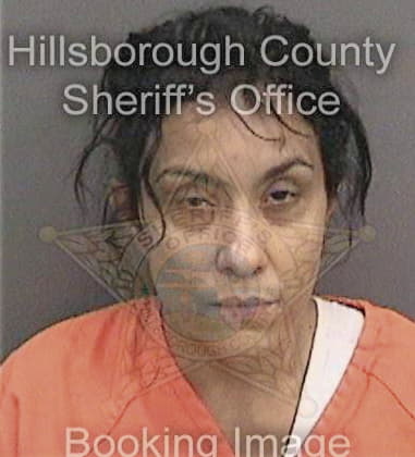 Diane Bradley - Hillsborough County, FL 