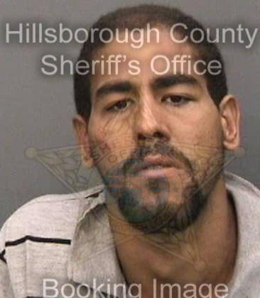 Oscar Entrialgo, - Hillsborough County, FL 