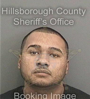 Hery Feliciano, - Hillsborough County, FL 