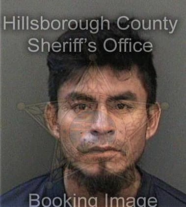 Nelson Gasca, - Hillsborough County, FL 