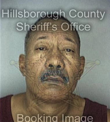 Dallas Robinson - Hillsborough County, FL 